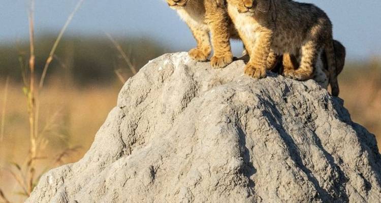 4-Day Victoria Falls Classic Tour - Knap Tours Limited 9