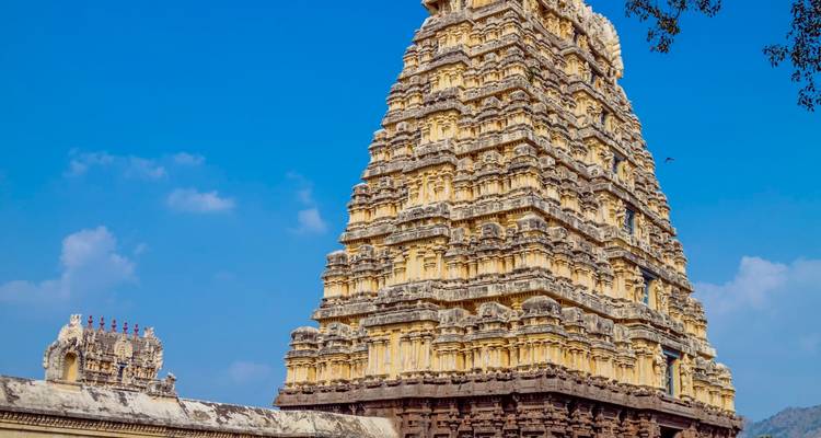 Circuit d'une journée des temples sacrés : De Chennai à Kanchipuram et Vellore - Agora Voyages OPC Pvt Ltd 4