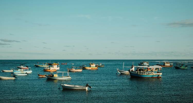 Salvador et la plage de Praia do Forte (7 jours) - Hi Travel Argentina 2