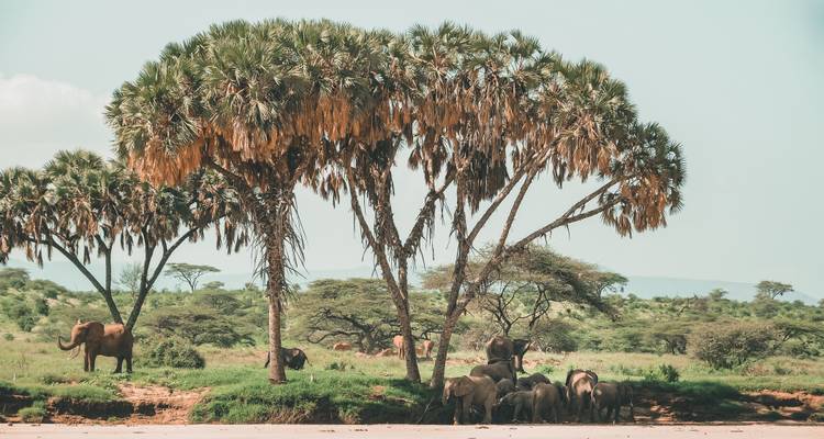 Safari and The Seychelles 2026-2027 - Emerald Cruises 3
