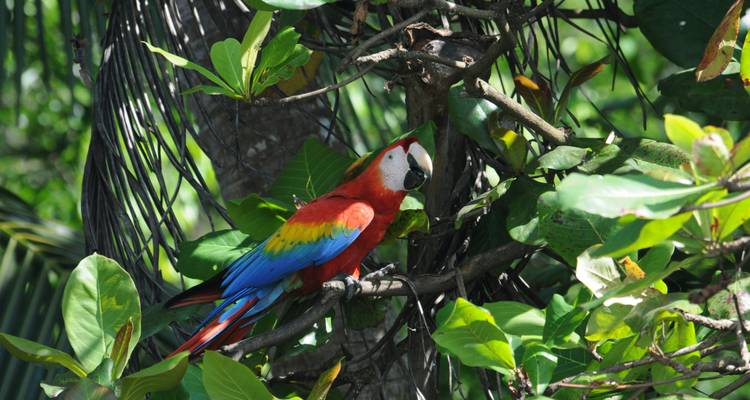 Costa Rica, Panama de l'Atlantique au Pacifique via le canal de Panama - Emerald Cruises 4