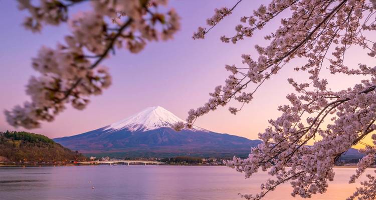 Japan's Golden Route and Coastal Discovery  Tokyo → Tokyo (2026) - Travel Marvel 5