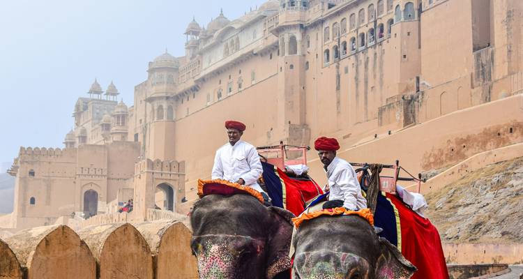 Two elephants with riders in front of Amber Fort.