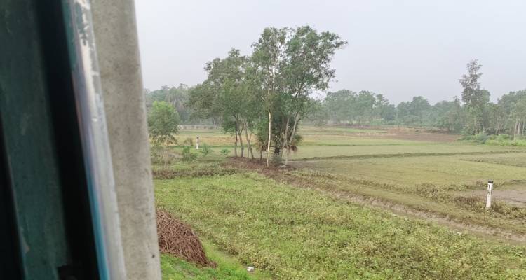 View from a window of flat rural farmland with scattered trees on a hazy morning.