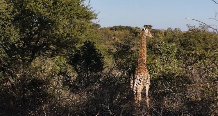 5-Day Budget Kruger & Panorama Camping Adventure - Knap Tours Limited 2