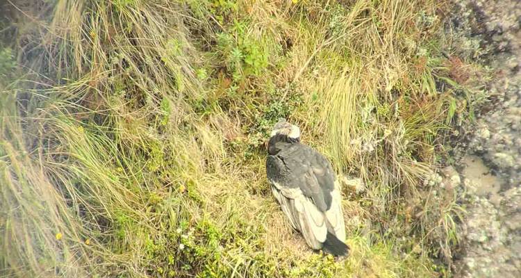 Visite privée du volcan Antisana depuis Quito - Latin Trails 4