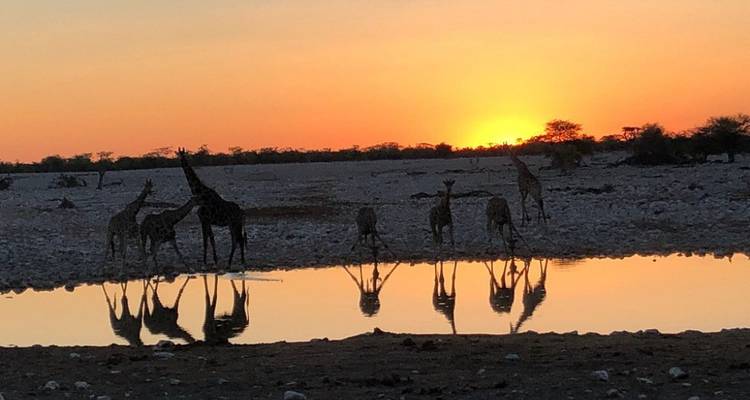 Safari de 5 jours dans la tribu Himba et à Etosha - Knap Tours Limited 1