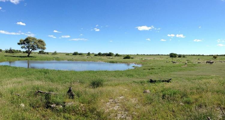 Safari de 5 jours dans la tribu Himba et à Etosha - Knap Tours Limited 4