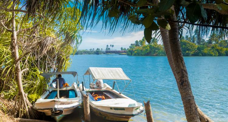 Two boats by a river with a view of a distant bridge and lush greenery.