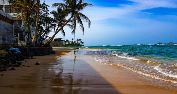A beach with palm trees leaning over the sandy shore and clear blue waters.