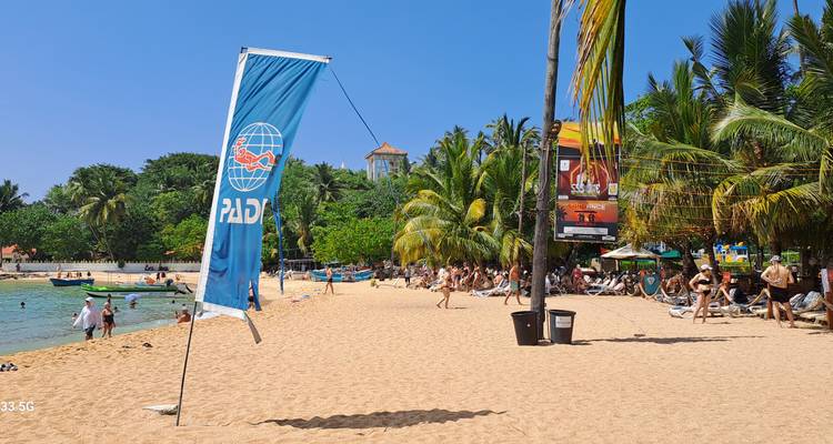 Sandy beach with people sunbathing and palm trees.