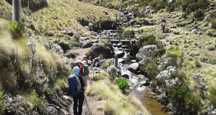 Trek autour du Mont Kenya en empruntant les itinéraires de Sirimon Chogoria - 5 jours - Kilimanjaro Wonders Expedition Safari 2