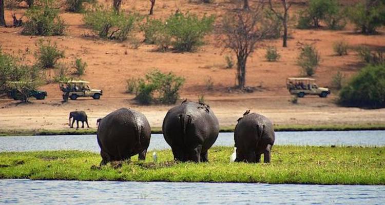 Safari de luxe de 5 jours aux chutes Victoria - Knap Tours Limited 2