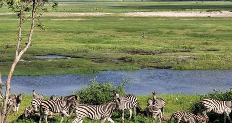 Safari de luxe de 5 jours aux chutes Victoria - Knap Tours Limited 3