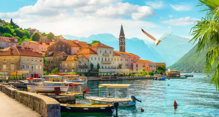 Picturesque coastal town with boats and seagulls under a clear sky.