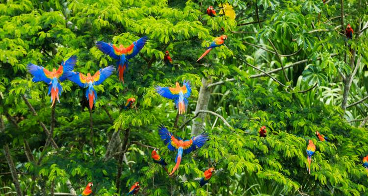 Yarina eco-lodge 5 jours - GUIDEcuador Travel 2