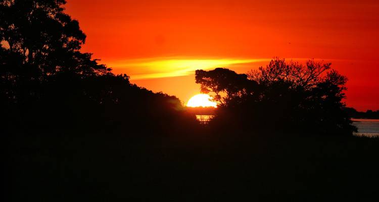 Puesta de sol naranja brillante sobre un cuerpo de agua con siluetas de árboles.