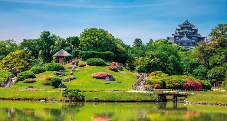 Beautiful Japanese garden with ornamental plants and a tranquil pond.