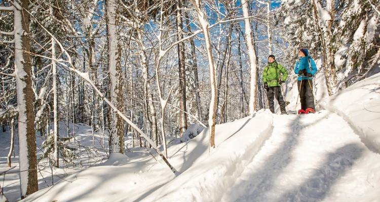 Deux personnes faisant de la raquette à travers une forêt enneigée.