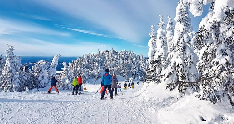 Skieurs sur une pente enneigée avec des arbres couverts de givre.