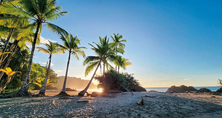 Tropical beach with palm trees and sunset.
