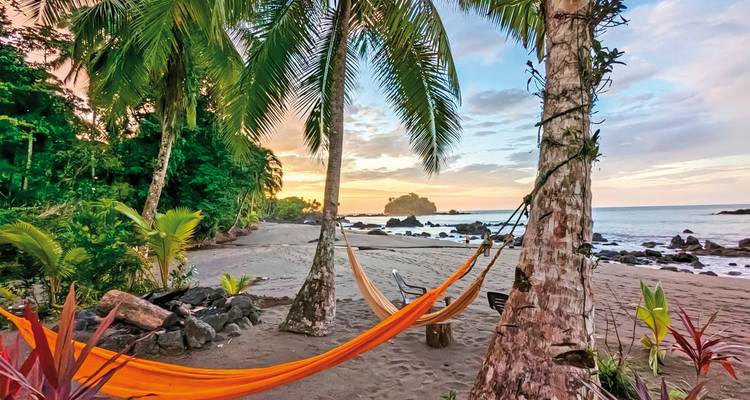 Hammocks on a beach with palm trees at sunset.