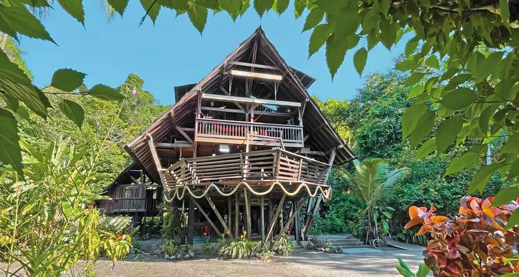 Wooden lodge surrounded by lush greenery.