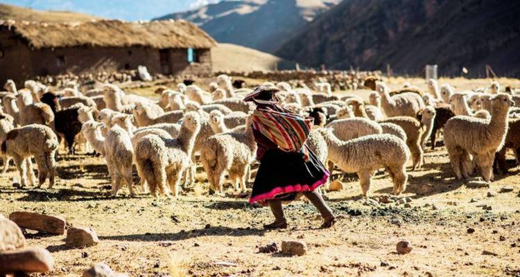 Ultimate Cusco & Machu Picchu - Expérience privée de 8 jours avec saveur locale - Waman Adventures 4