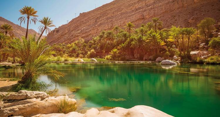 Oasis with a green lake surrounded by palm trees and rocky hills.