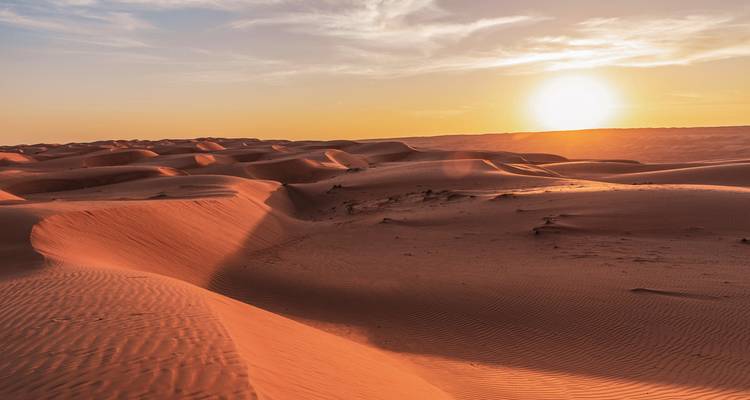 Desert landscape with sand dunes during sunset.