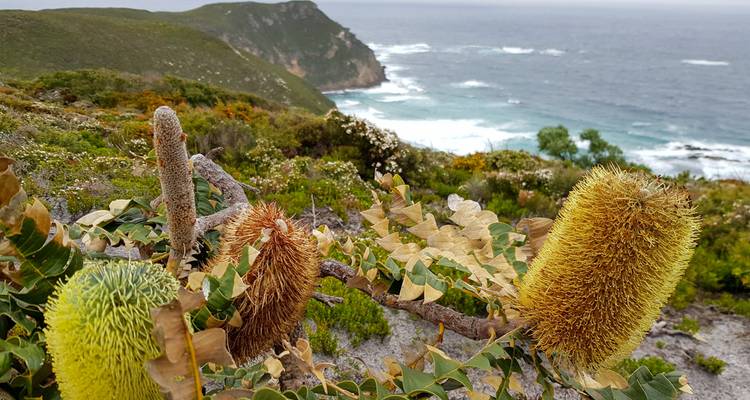 Randonnée sur la piste Bibbulmun : De Walpole à Denmark - Intrepid Travel 3