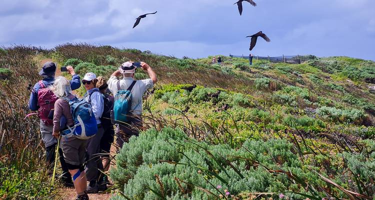 Randonnée sur la piste Bibbulmun : De Walpole à Denmark - Intrepid Travel 6