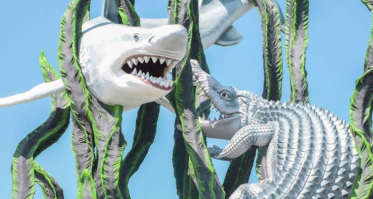 Komodo - 19 Days Adventure Tour - Chamaeleon 1