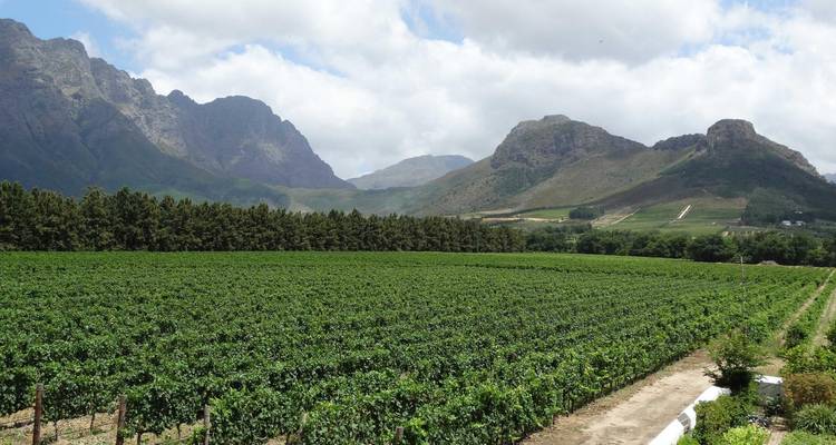 South Africa from Coast to Kruger - Radventures Tours 4