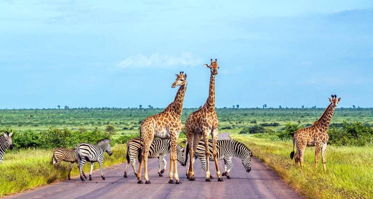 South Africa from Coast to Kruger - Radventures Tours 6