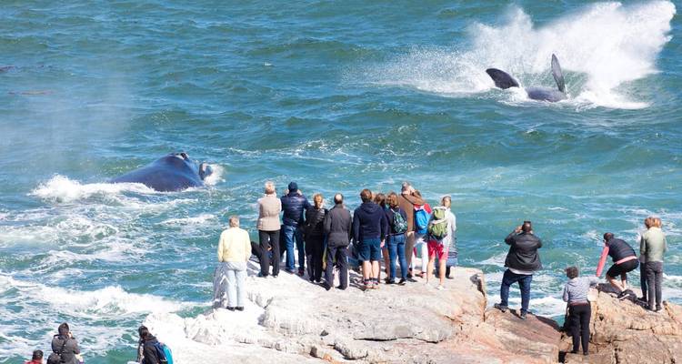 South Africa from Coast to Kruger - Radventures Tours 8