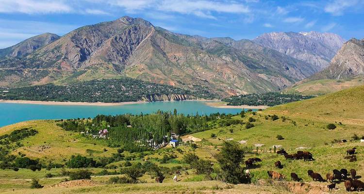 Excursion d'une journée à Chimgan et Charvak - Advantour Uzbekistan 5