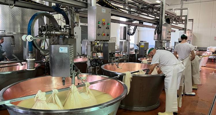 Processus de fabrication industrielle de fromage avec des ouvriers dans une usine.