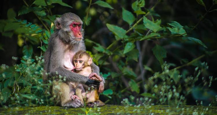 8 jours de bonheur à Bali : Là où le luxe rencontre les sensations fortes, la culture et la lumière nocturne - STM Tours LLC 6