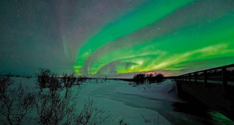 Aurores boréales éclatantes dans le ciel nocturne au-dessus d'un paysage enneigé.