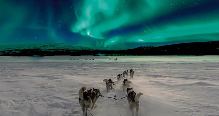 Aurores boréales au-dessus d'un paysage enneigé avec un attelage de chiens de traîneau.