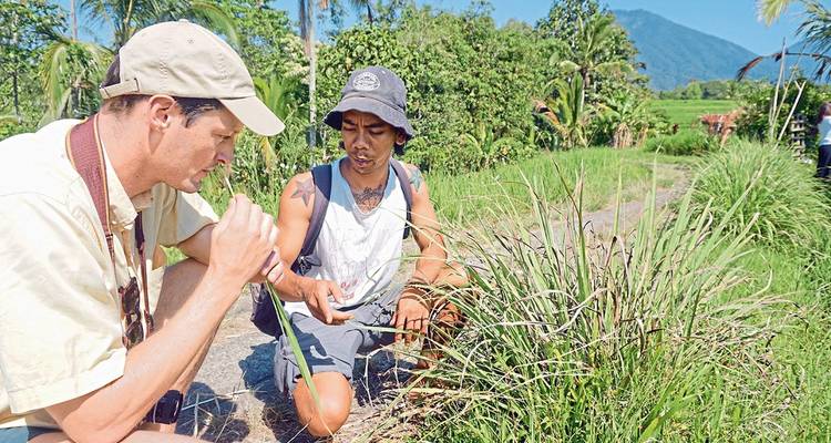 Deux hommes examinant des plantes dans un jardin avec des montagnes en arrière-plan.