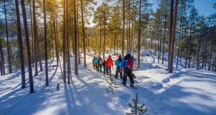 Gruppenwanderung durch einen verschneiten Wald.