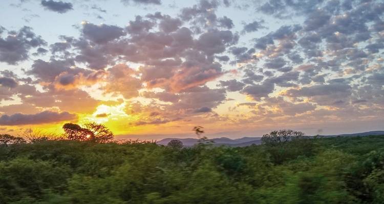 ADAC Special South Africa - Safari, Kingdoms & Coastal Magic - DERTOUR 5