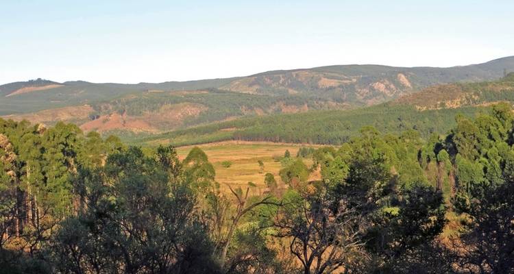ADAC Special South Africa - Safari, Kingdoms & Coastal Magic - DERTOUR 1