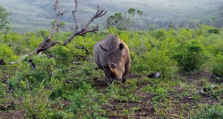 ADAC Special South Africa - Safari, Kingdoms & Coastal Magic - DERTOUR 8