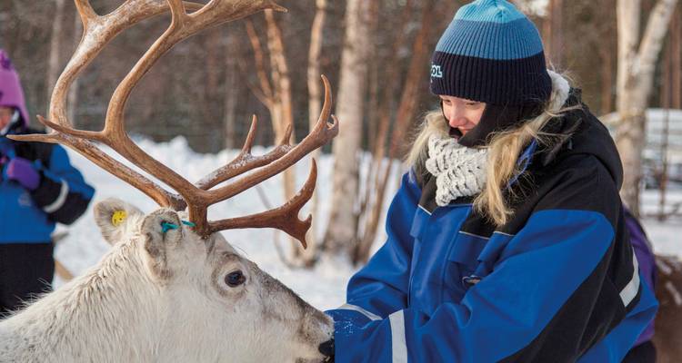 Person interacting with a reindeer in a snowy landscape.