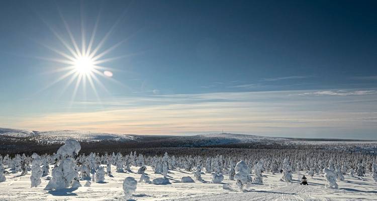Paysage d'hiver avec le soleil qui brille sur les arbres couverts de neige.