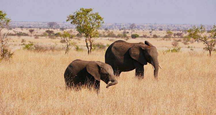 Excursion d'une journée dans le parc national de Kissama (Quiçama) au départ de Luanda - Across Africa Tours & Travel 2
