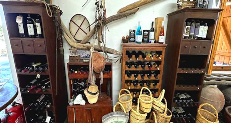 8 Days in Cyprus: A Tapestry of History, Myth & Mediterranean Life (Friday Arrivals) - QUALIDAY 8